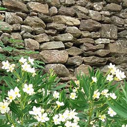 la mur