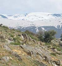 schneebedeckte berge