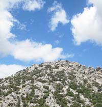 hoch hinaus