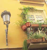 gr&uuml;ner balkon