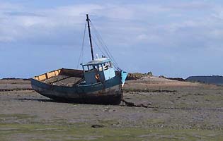 gestrandet