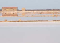 le saline
