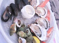 assiette de fruits de mer