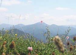 weitblick