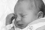 luca 2002