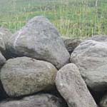steinig