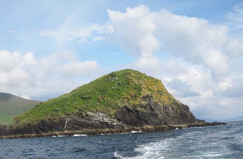 gr&uuml;ne insel