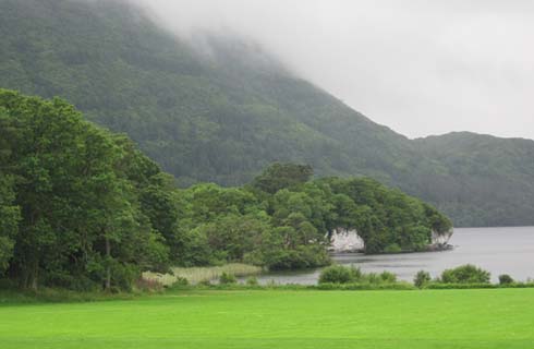 nebel am lake