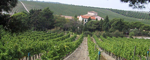 ch&acirc;teau l'hospitalet