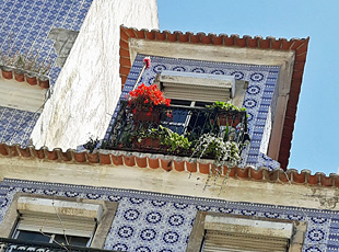 blaues haus