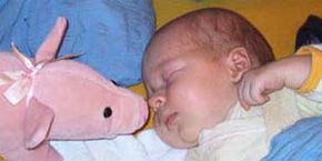 2003