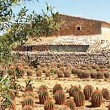 kakteenfarm, ses salines