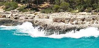 calo' des borgit