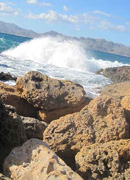 2009