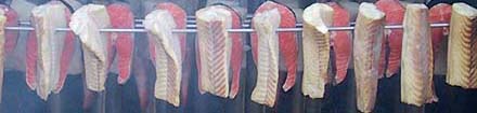 in der fischr&auml;ucherei