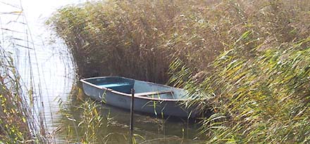 boot am bodden