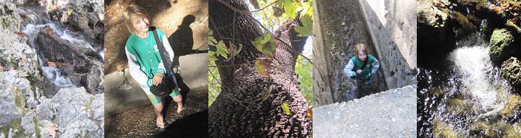 im wald der sieben quellen