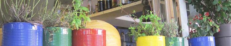 gew&uuml;rze aus der dose