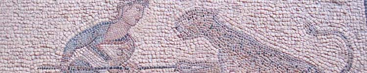 bodenmosaik im gro&szlig;meisterpalast