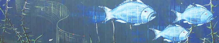 fische am strand