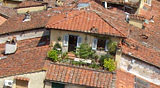 dachgarten