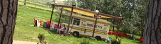 paninibus